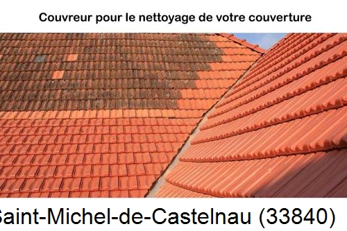 Avant après démoussage Saint-Michel-de-Castelnau-33840