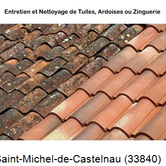 démoussage Saint-Michel-de-Castelnau-33840