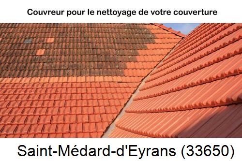 Avant après démoussage Saint-Médard-d'Eyrans-33650