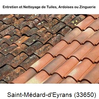 démoussage Saint-Médard-d'Eyrans-33650