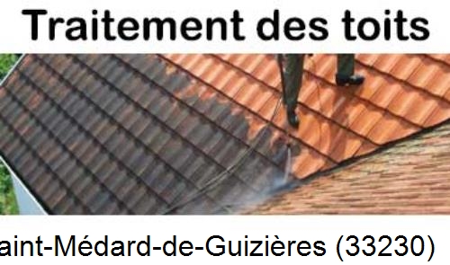 Entreprise de peinture toiture Saint-Médard-de-Guizières-33230
