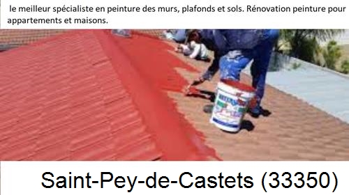Artisan Peintre Saint-Pey-de-Castets-33350