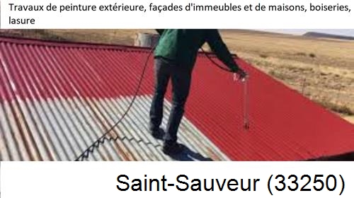 Peintre pro 33 Saint-Sauveur-33250