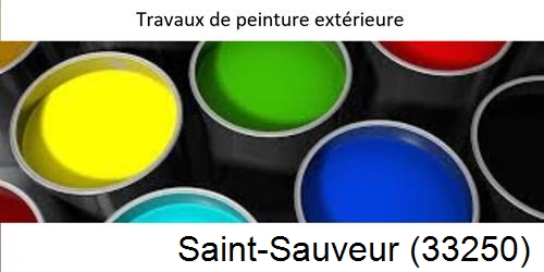 Peintre Saint-Sauveur-33250