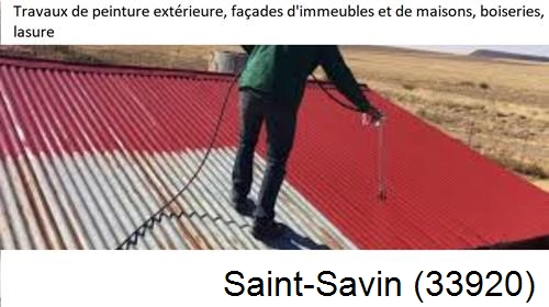 Peintre pro 33 Saint-Savin-33920