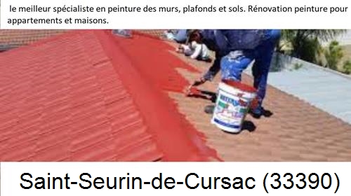 Artisan Peintre Saint-Seurin-de-Cursac-33390