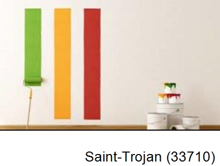Peintre en rénovation Saint-Trojan-33710