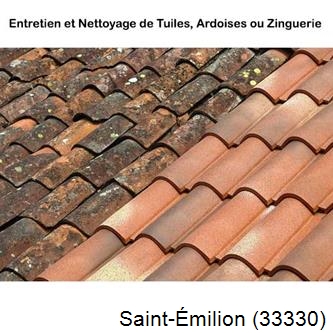 démoussage Saint-Émilion-33330