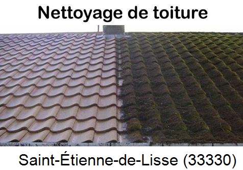Travaux démoussage toiture Saint-Étienne-de-Lisse-33330