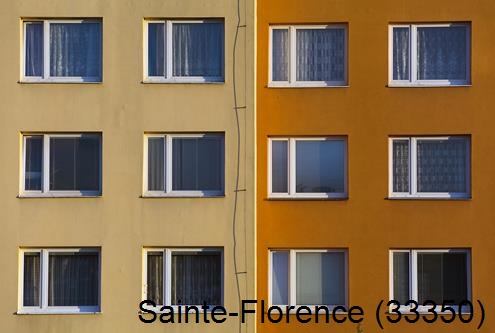 Artisan peintre Sainte-Florence-33350