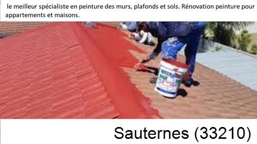 Artisan Peintre Sauternes-33210