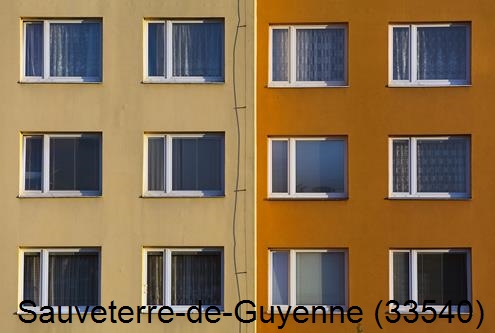 Artisan peintre Sauveterre-de-Guyenne-33540